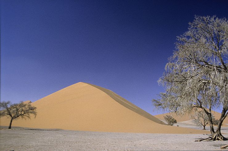 Namibia - Wueste