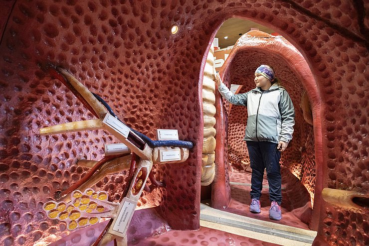 © Land Tirol Tag der offenen Tür