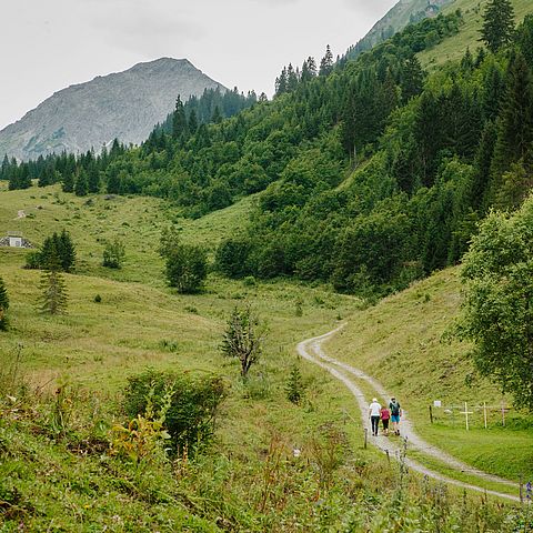 Wandergruppe spaziert auf Tiroler Bergweg.