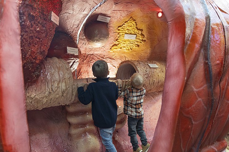 © Land Tirol/die Fotografen Tag der offenen Tür