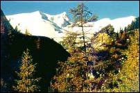 © Land Tirol Nationalpark