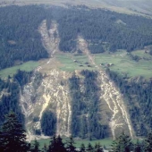 © Land Tirol/Gruppe Forst Waldschneißen dur Lawinen- und Murenabgänge