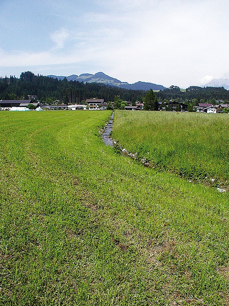 Obernberger Dorfbach - vorher