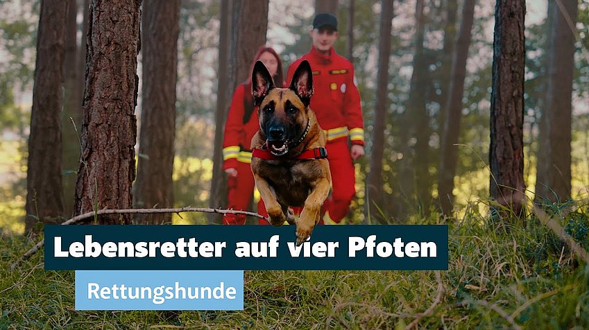 © Land Tirol/Christanell Rettungshundebrigade Tirol - Sicher in Tirol geht nur mit dir!