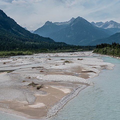 Foto von Lech