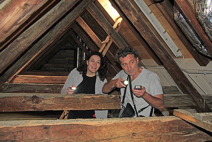LHStvin Felipe und Fledermausbeautragter Vorauer beobachten die Kleinen Hufeisennasen im Dachstuhl von Schloss Lengberg.