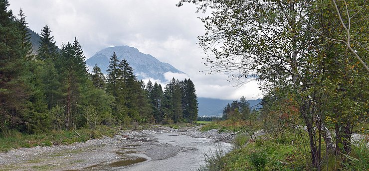 Umgeben von einer vielfältigen Pflanzen- und Naturwelt sucht sich die „Gurgl“ künftig in einem weitläufigen Flussgebiet ihren natürlichen Weg.