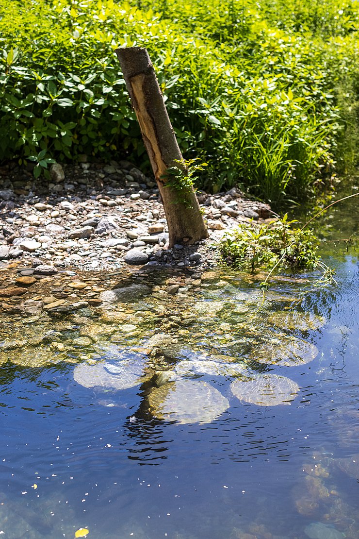 Der Inn am Schlitterer Gießen