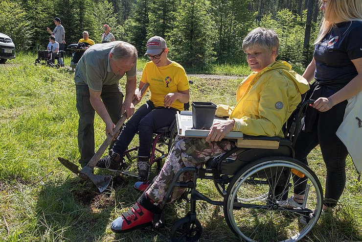 Projektes „bunter lebenshilfewald“