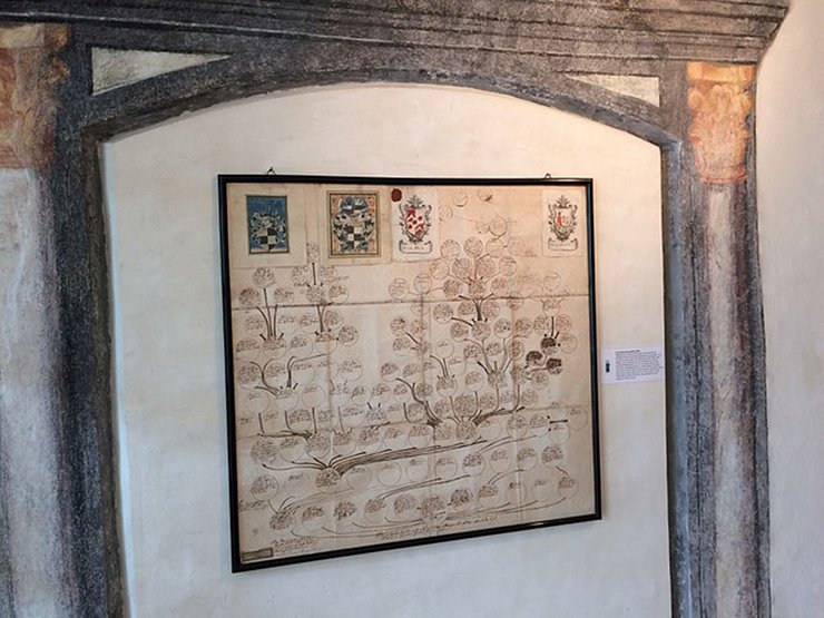 Stammbaum im "Museum im Grünen Haus"