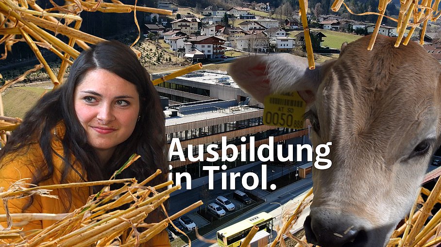 © Land Tirol/Raggl Veterinärmedizin in Tirol