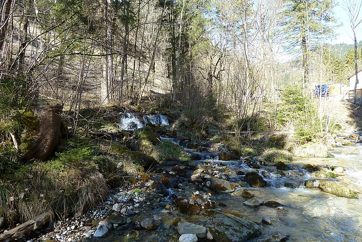 vorher