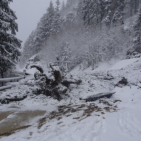 Murenabgang auf die B 171 Tiroler Straße zwischen Pians und Strengen. 