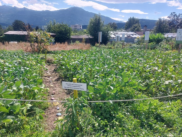 Ein dicht bepflanztes Feld ist durch ein Seil, bunte Steine und Holzpfosten abgegrenzt. In der Mitte ist ein Schild an einen Holzpfosten angebracht. Auf dem Schild steht: Etwa 30 % der Lebensmittel werden weggeworfen. Das zeigt diese markierte Fläche. 
