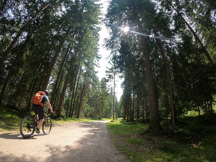 Abbildung 3: Foto von der Befahrung: 31_Radweg_Seefeld
