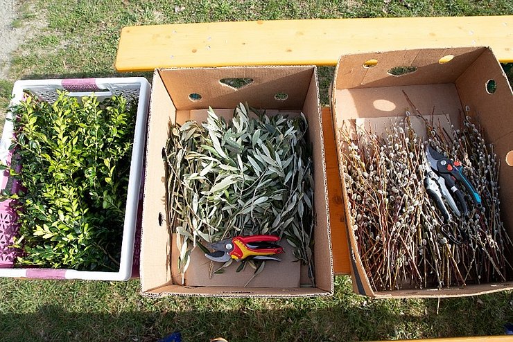 © Kindergarten für Alle Lienz Material zum Palmbuschen binden