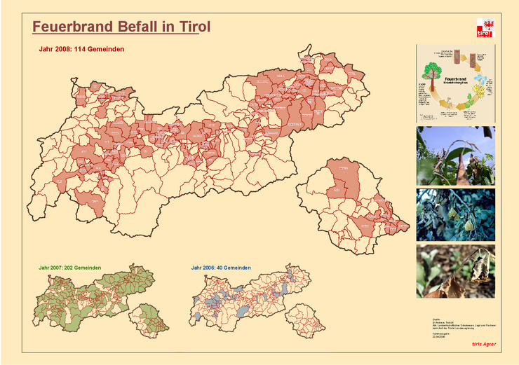 Karte Feuerbrand Tirol