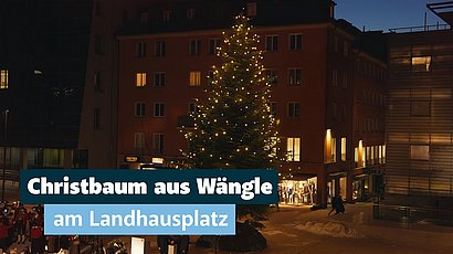 Der Christbaum am Landhausplatz