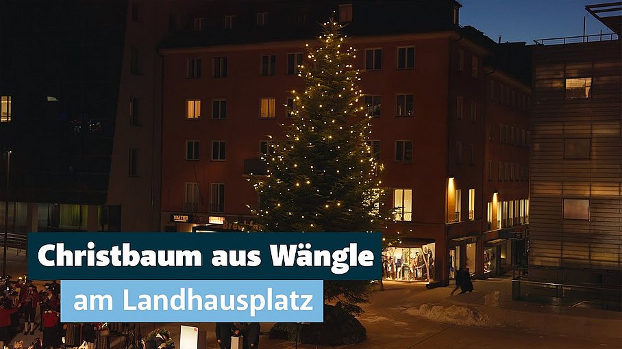 © Land Tirol/Järvinen Der Christbaum am Landhausplatz