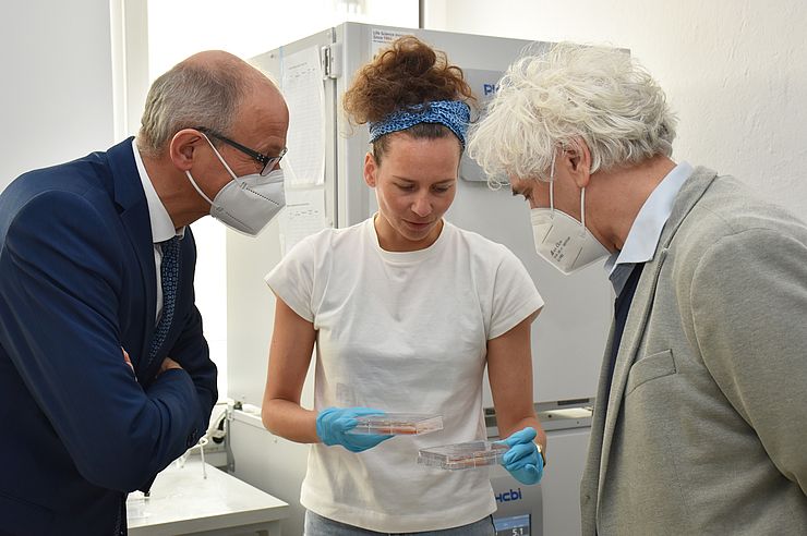 Eine Molekularbiologin und Mitarbeiterin der Angios GmbH zeigt Landesrat Anton Mattle und Professor Josef Penninger im Labor, wie Blutgefäße gezüchtet werden.