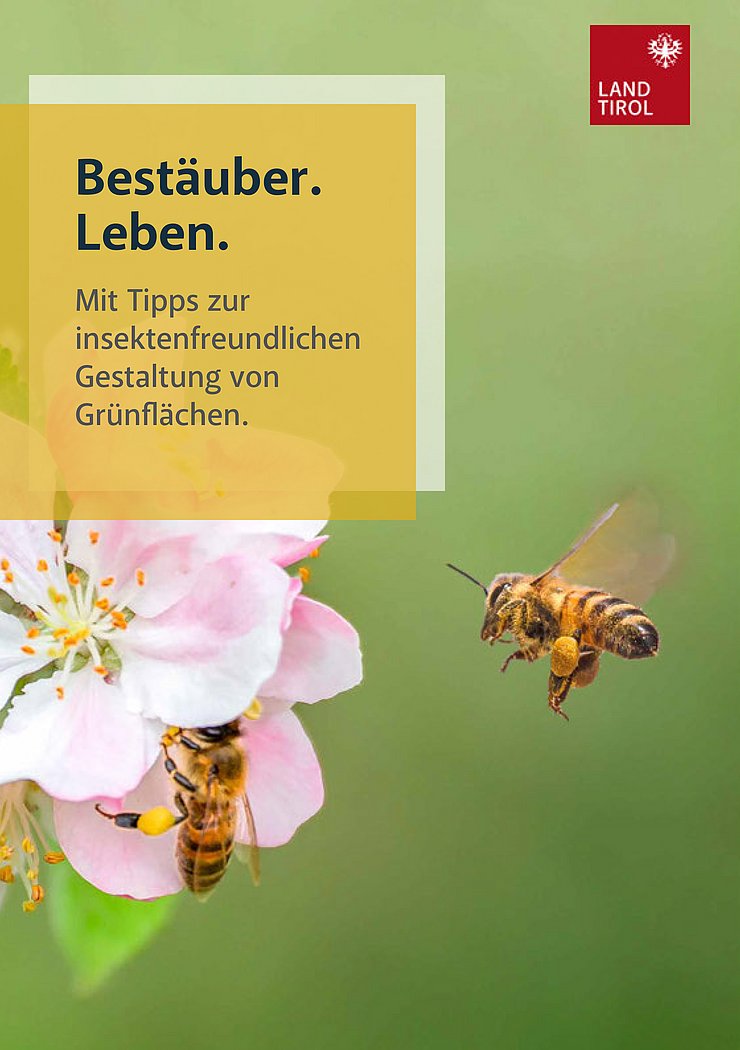 Titelblatt der Broschüre