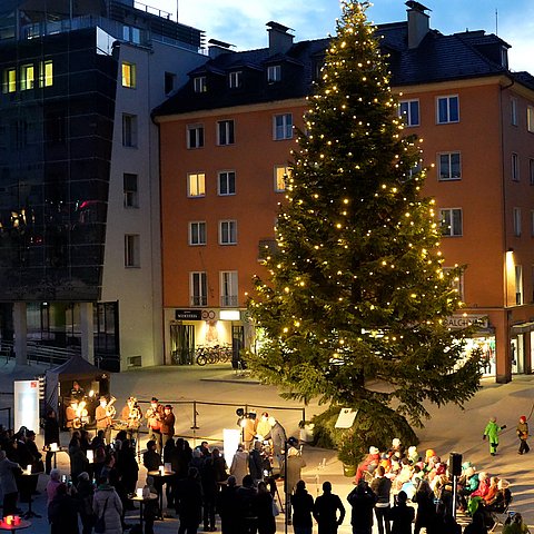 Christbaum auf dem Landhausplatz