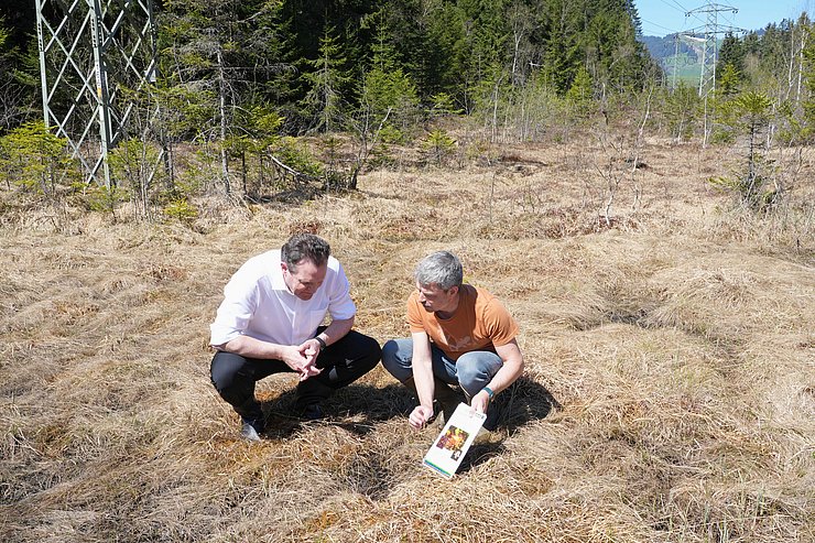 Zumtobel und Sonntag