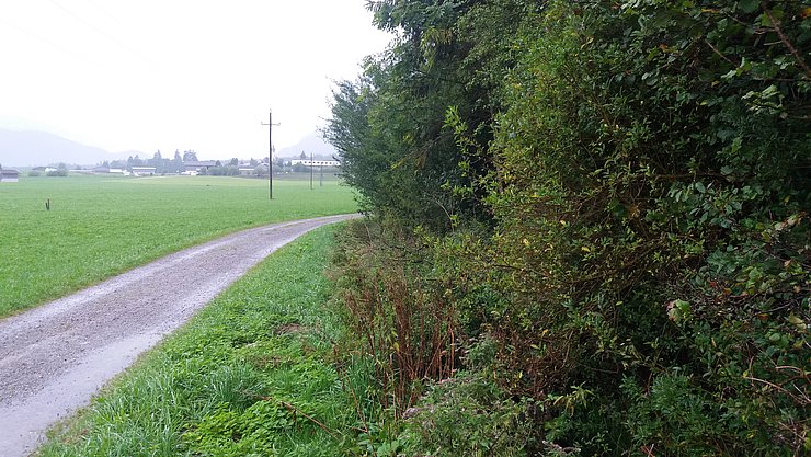 Hänslerbach in Lechaschau vor Beginn der Erhaltungsarbeiten – kaum noch zu erkennen dass hier ein Bachbett verläuft …