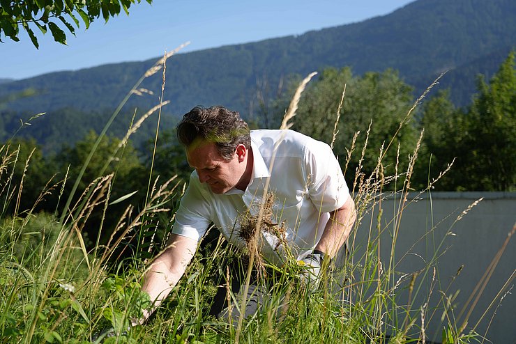 Zumtobel in Wiese 