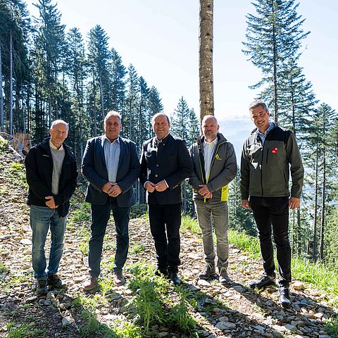 Partnerschaft für den Schutzwald: Wildbach- und Lawinenverbauung und Landesforstdienst ziehen an einem Strang
