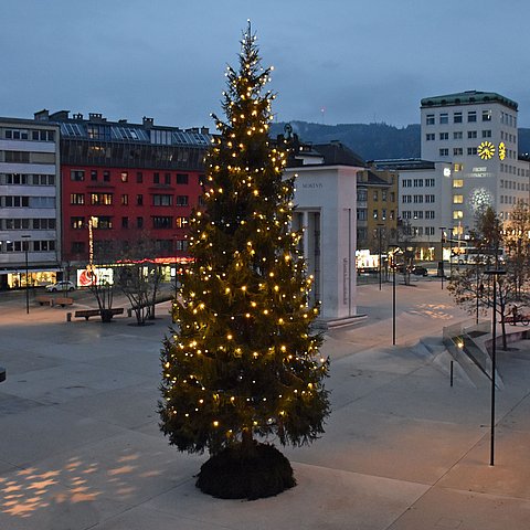 Eine Kitzbüheler Fichte wird in den kommenden Wochen am Eduard-Wallnöfer-Platz für weihnachtlichen Glanz sorgen.