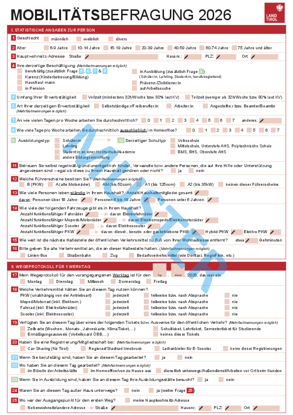 Mobilitätsbefragung 2026 Fragebogen Musterbeispiel