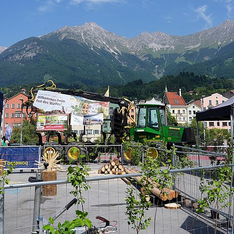 Rund 900 BesucherInnen: Es war ein (Wald)Fest!