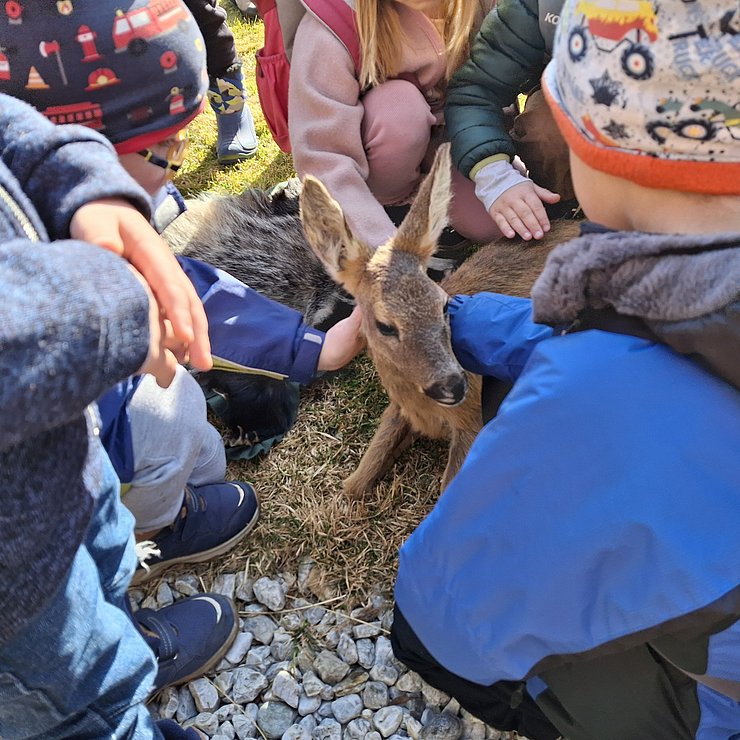 Kinder und Reh