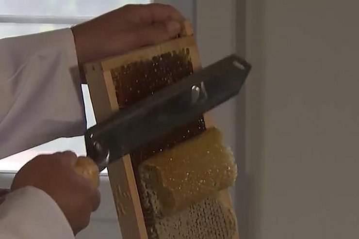 Ein Imker schabt die oberste Honigwachsschicht von den Waben und legt den Honig frei.