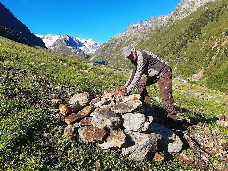 Person bückt sich zu Steinen auf Feld