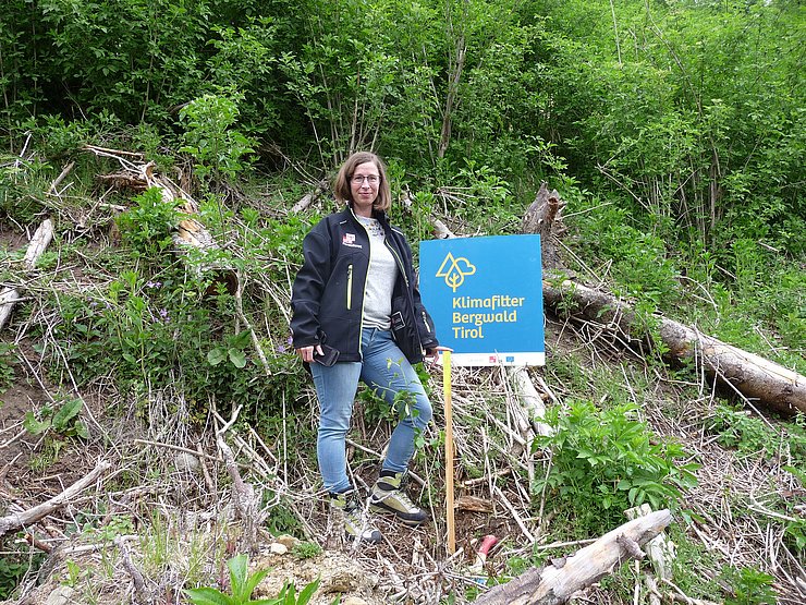 Im Rahmen des Programms „Klimafitter Bergwald“ sollen Tirols Wälder widerstandsfähiger gegen Wetterextreme, Naturkatastrophen und Schädlingsbefall gemacht werden. Patricia Schrittwieser von der Landesforstdirektion begleitet das Projekt in Neustift. 