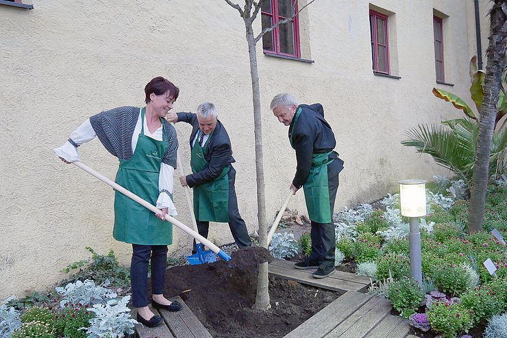 Die von den drei PräsidentInnen gepflanzte Seidenakazie symbolisiert das gemeinsame (Zusammen-) Wachsen.