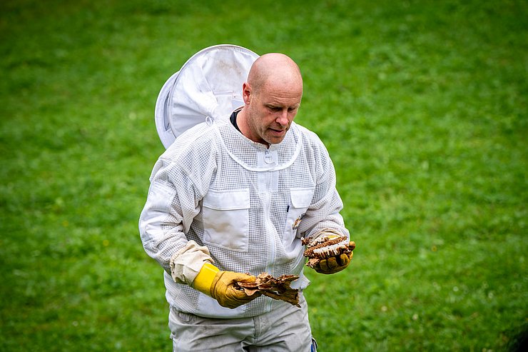 © Land Tirol/Hörmann Imker hält Nest der Hornisse