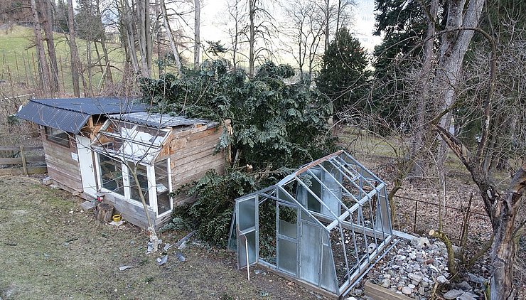 Ein umgestürzter Baum beschädigte auch die Glashäuser beim Schloss.