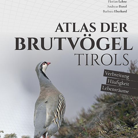 Buchcover mit sitzendem Vogel in der Natur und Buchtitel