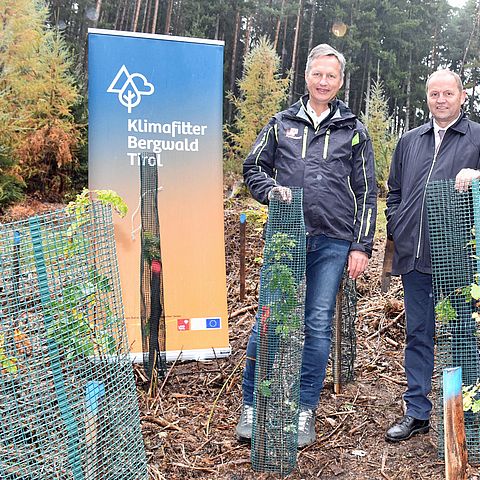Josef Fuchs und Josef Geisler inmitten von gepflanzten Bäumen.