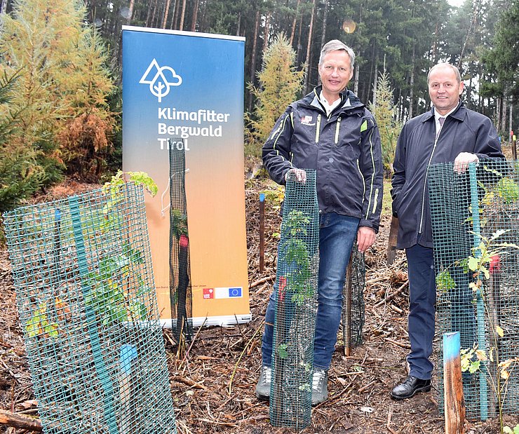 Josef Fuchs und Josef Geisler inmitten von gepflanzten Bäumen.