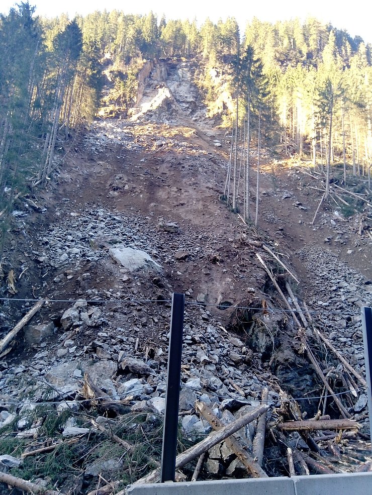 Der Felssturz hat in der Sturzbahn auch alle Bäume mit sich gerissen.