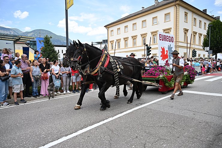 Festumzug