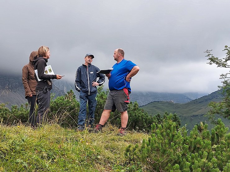 Vier Personen im Naturpark unterhalten sich