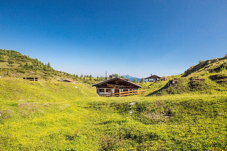 © Tourismusverband Kitzbüheler Alpen Panoramabild einer Almhütte inmitten einer Wiesenlandschaft der Kitzbüheler Alpen bei blauem Himmel