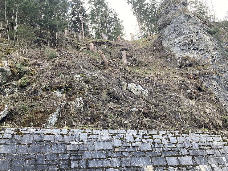 Der Hang neben der Hochgallmiggstraße, der abzurutschen droht.. 