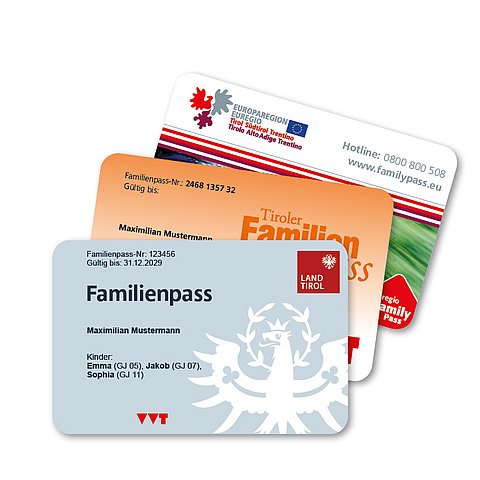 Muster eines Familienpasses