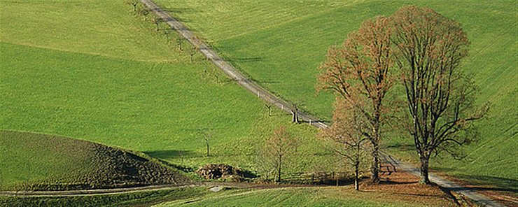 © DI Martin Schönherr Freiflächen bei Ebbs, von St. Nikolaus aus betrachtet